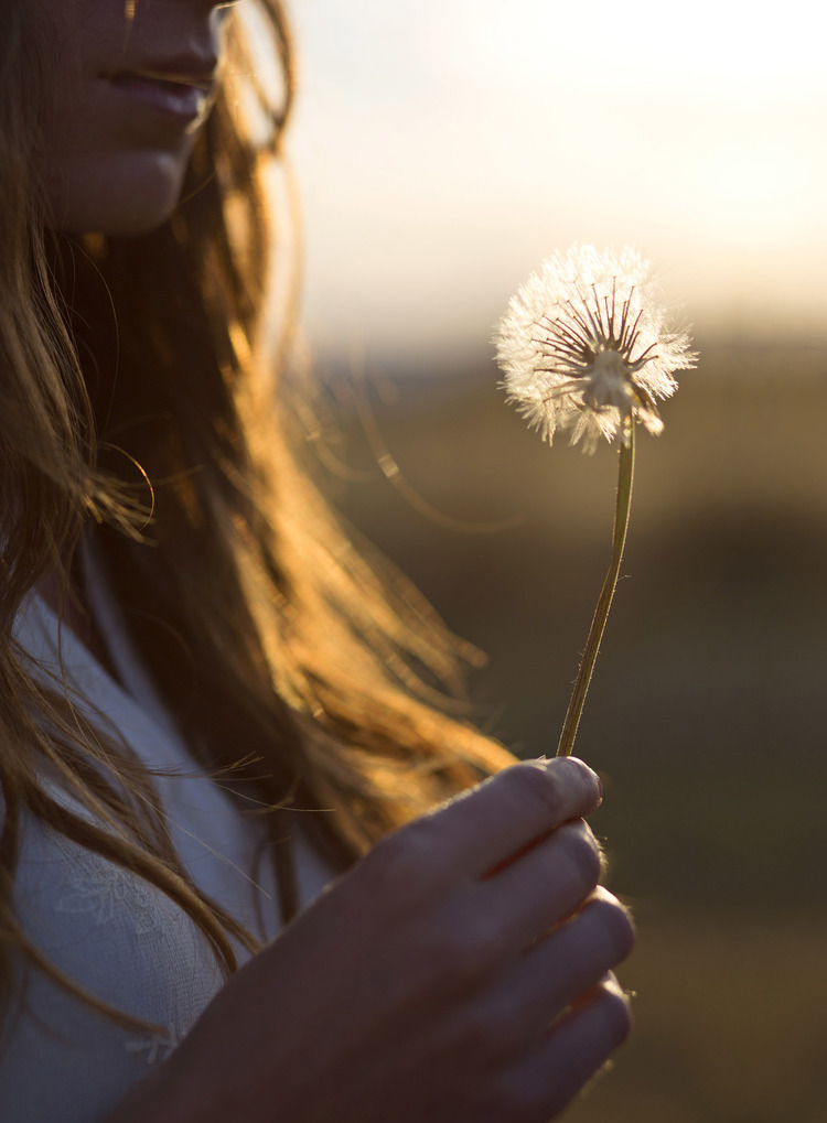 08 May 2014 --- Woman Holding Dandelion --- Image by © Blossom Peaches/ableimages/Corbis